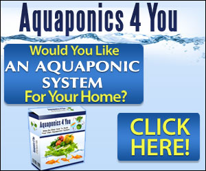DIY Aquaphonics